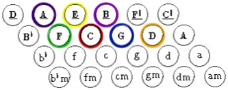 C Bass Scale